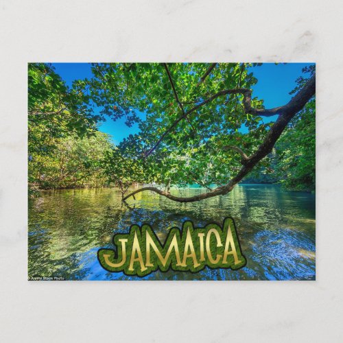 Jamaicas Blue Lagoon Port Antonio Postcard