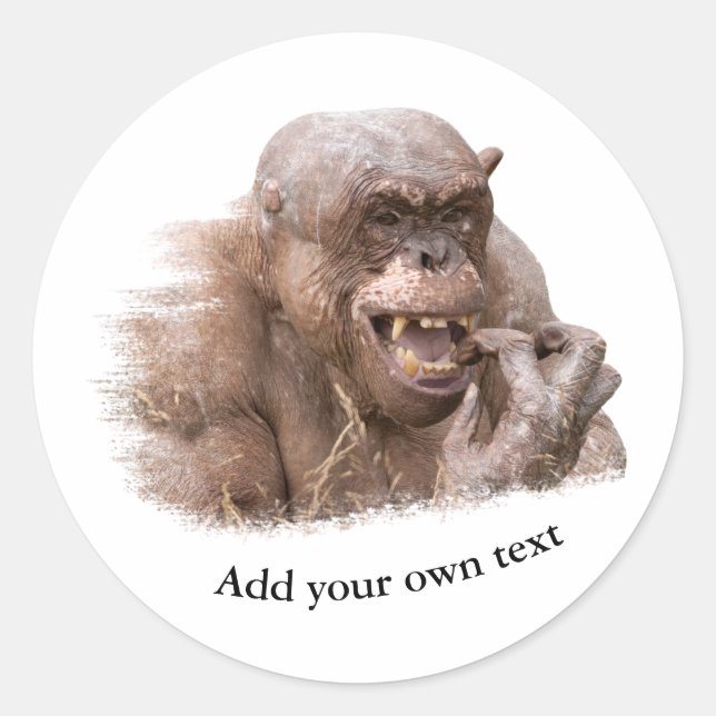 Jambo the hairless Chimpanzee Classic Round Sticker (Front)