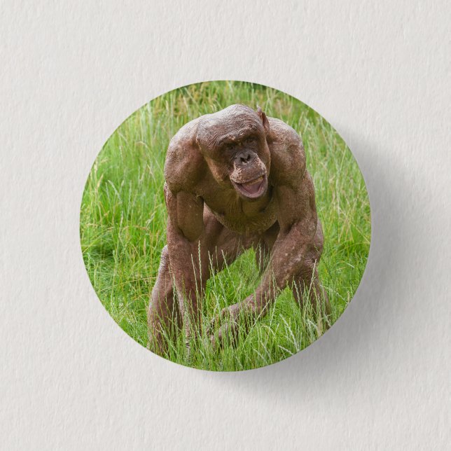 Jambo The Unique Hairless Chimp Button (Front)