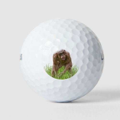 Jambo The Unique Hairless Chimp Golf Balls