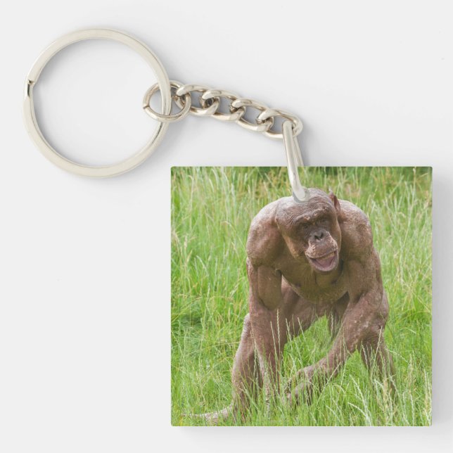Jambo The Unique Hairless Chimp Keychain (Front)