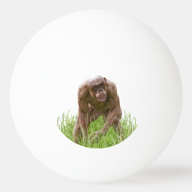 Jambo The Unique Hairless Chimp Ping Pong Ball (Front)