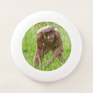 Jambo The Unique Hairless Chimp Wham-O Frisbee