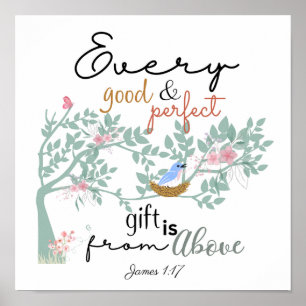 James 1:17 Every Good and Perfect Gift Poster