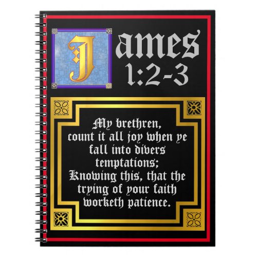 James 12 13 Illuminated KJV Biblical Quote Notebook