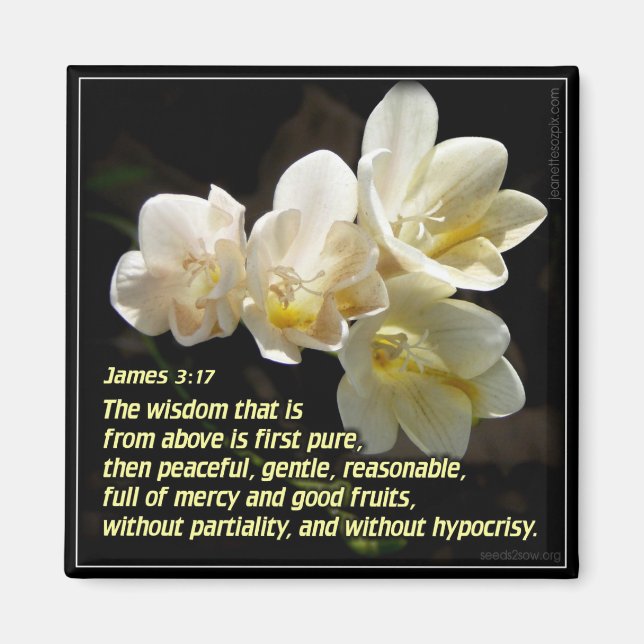 James 3v17 - Heavenly Wisdom 2 Magnet (Front)