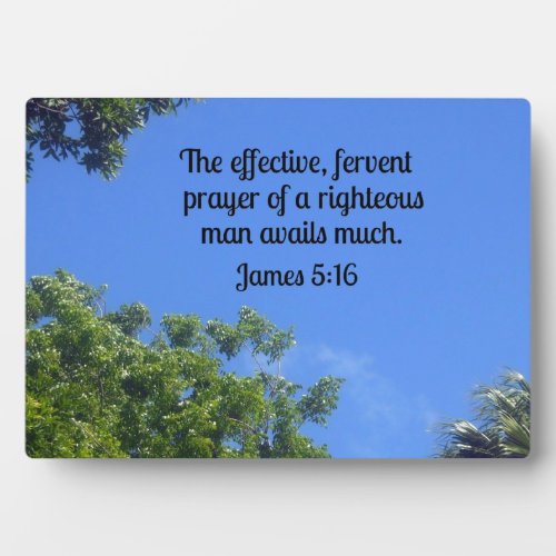 James 516 The effective fervent prayer Plaque