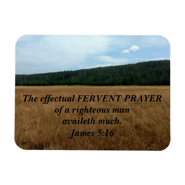 James 5:16 The effectual fervent prayer of a  Magnet (Horizontal)