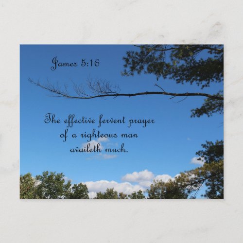 James 516 The effectual fervent prayer of Postcard