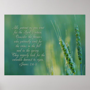 James 5:6-8 Perseverance Inspirational Poster