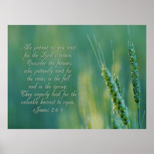 James 56_8 Perseverance Inspirational Poster