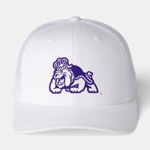 James Madison University   Duke Dog