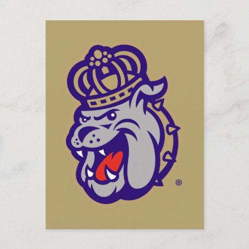 James Madison University  Duke Dog Face Postcard