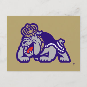James Madison University Duke Dog Postcard