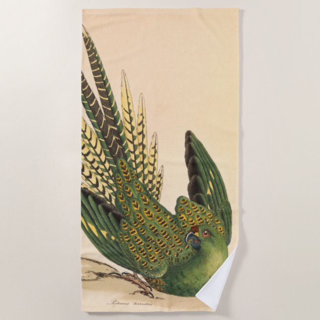 James Sowerby Ground Parrot, Psittacus terrestris  Beach Towel (Front)