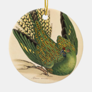 James Sowerby Ground Parrot, Psittacus terrestris  Ceramic Ornament