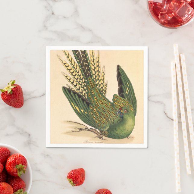 James Sowerby Ground Parrot, Psittacus terrestris  Napkins (Insitu)