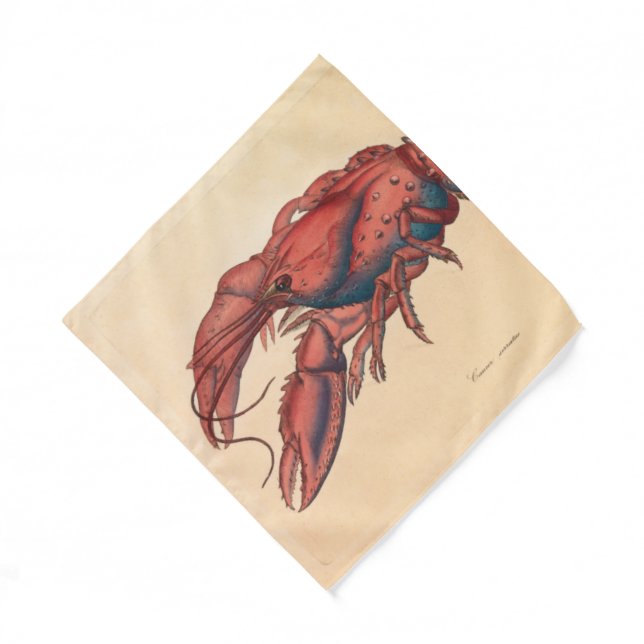 James Sowerby  Serrated Lobster  Bandana (Front)