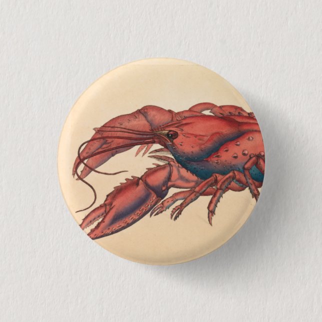 James Sowerby  Serrated Lobster     Button (Front)