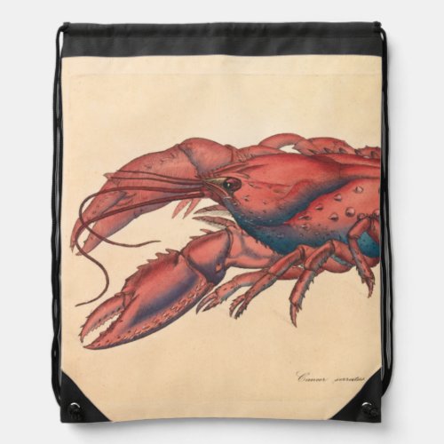 James Sowerby  Serrated Lobster  Drawstring Bag