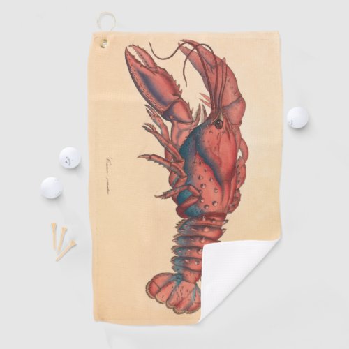 James Sowerby  Serrated Lobster   Golf Towel