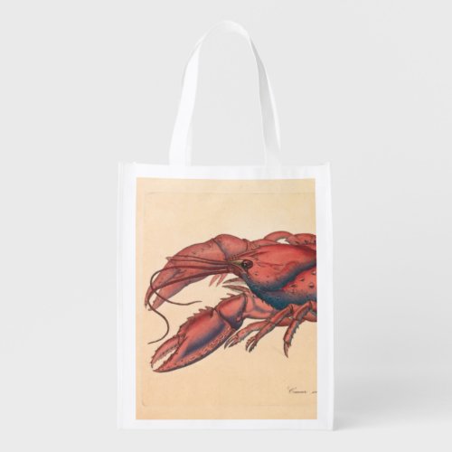 James Sowerby  Serrated Lobster   Grocery Bag