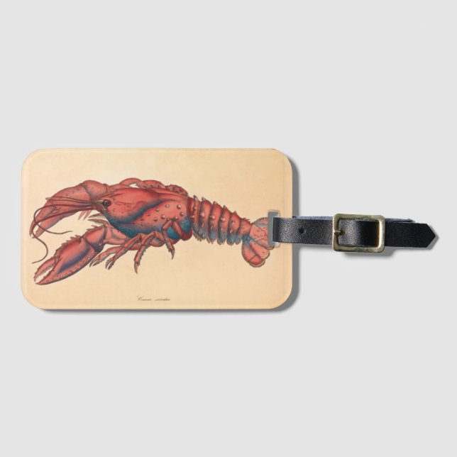 James Sowerby  Serrated Lobster  Luggage Tag (Front Horizontal)