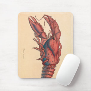James Sowerby  Serrated Lobster  Mouse Pad