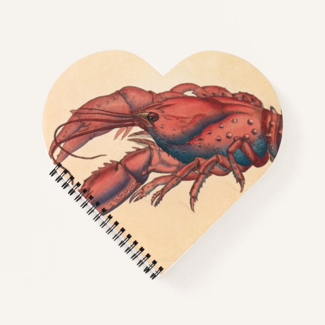 James Sowerby  Serrated Lobster   Notebook (Front)