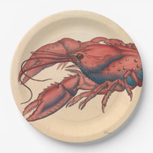 James Sowerby  Serrated Lobster   Paper Plates
