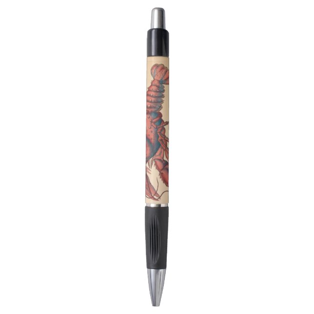 James Sowerby  Serrated Lobster     Pen (Front Vertical)