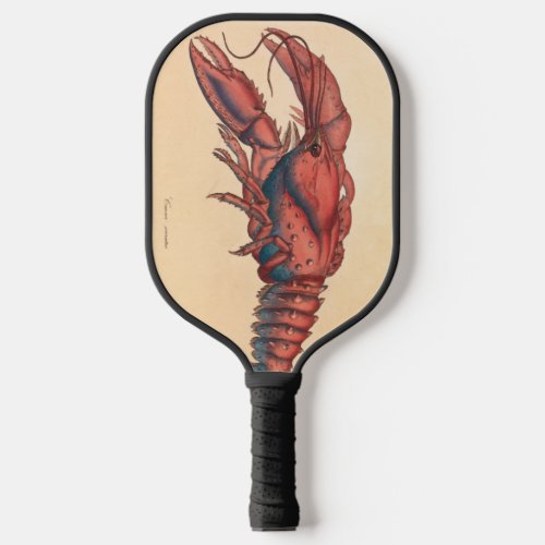 James Sowerby  Serrated Lobster   Pickleball Paddle