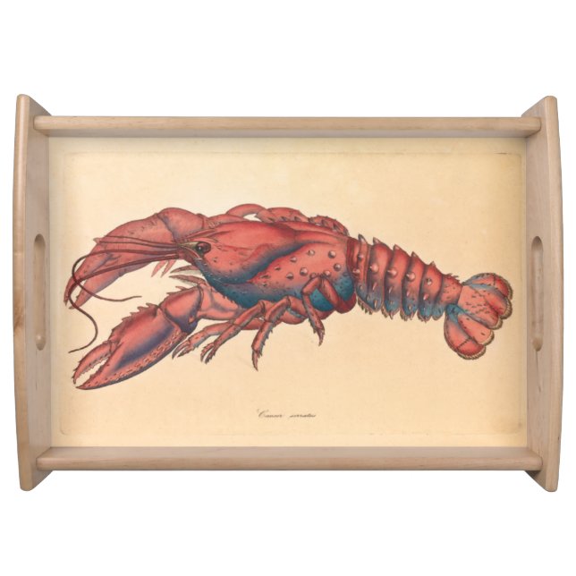 James Sowerby  Serrated Lobster    Serving Tray (Front)