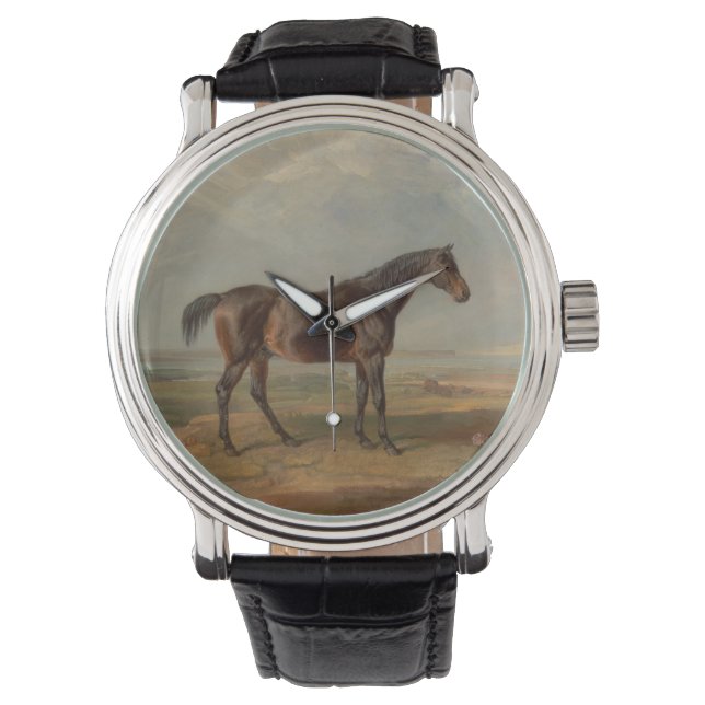 James Ward - Dr. Syntax, a Bay Racehorse Watch (Front)