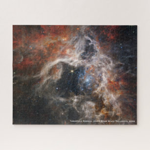 James Webb Tarantula Nebula Hi-Res Image 2022 Jigsaw Puzzle