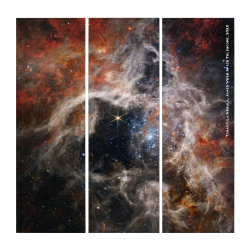 James Webb Tarantula Nebula Hi_Res Image 2022 Triptych