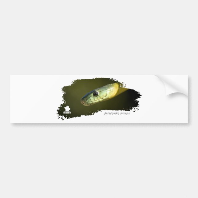 Jameson's Mamba 01 Bumper Sticker (Front)