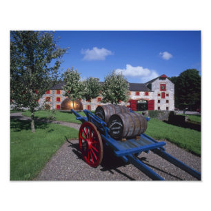 Jamesons Whisky Heritage Centre, Midleton, Photo Print