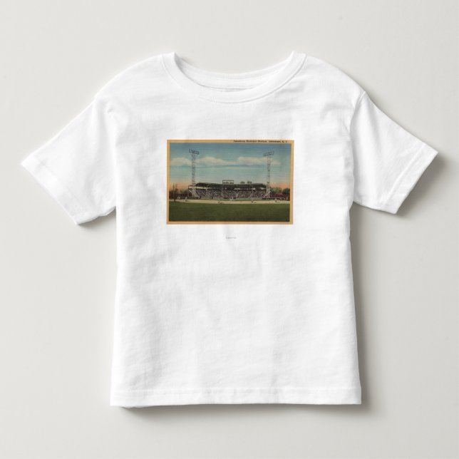 Jamestown, NY - Municipal Baseball Stadium Toddler T-shirt (Front)