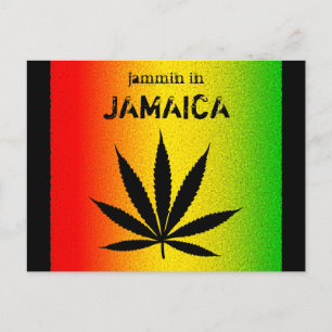 Jammin in Jamaica Black Reggae Rasta Leaf Postcard