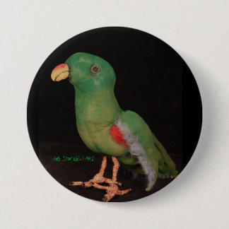 Jan Shackelford Parrot Button Electus