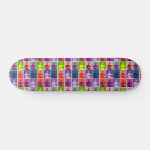 Jane Austen pop art colorful Skateboard