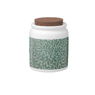Jane Austen's home wallpaper Candy Jar