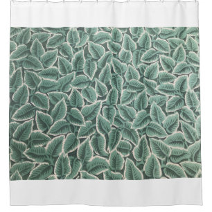 Jane Austen's Home Wallpaper Shower Curtain