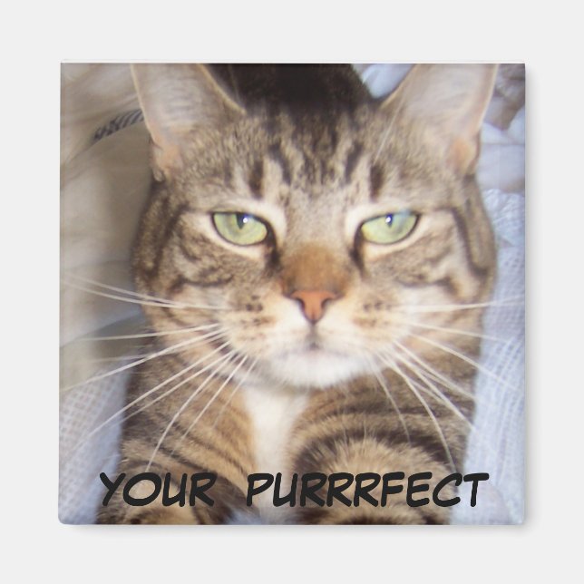 Jane says..YOUR PURRFECT Magnet (Front)