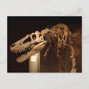 Jane - View #6 Postcard