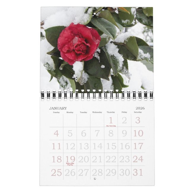Janette's Garden 2012 Calendar (Jan 2026)