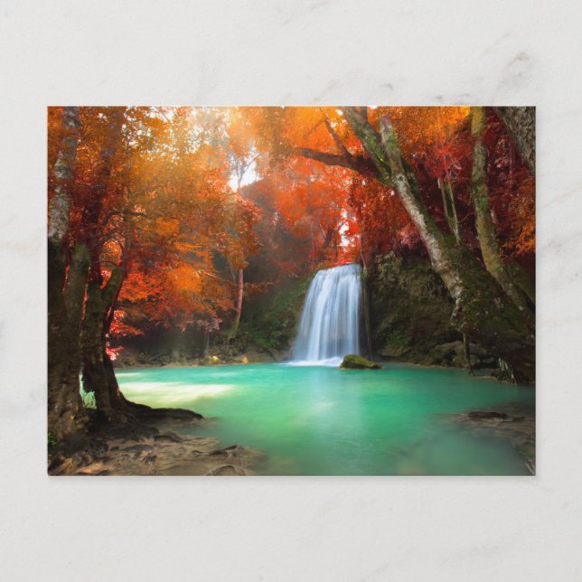 Jangle Landscape | Kanchanaburi, Thailand Postcard (Front)