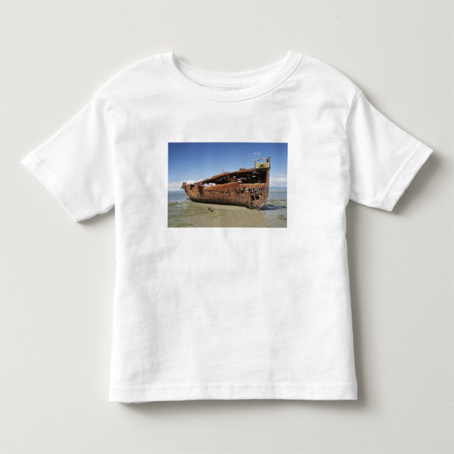 Janie Seddon Shipwreck, Motueka, Nelson Toddler T-shirt (Front)