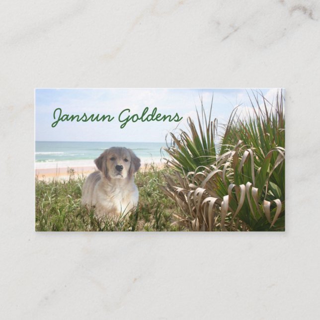 Jansun Goldens Business Card (Front)